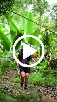 BIB:  <button type="button" onclick="openModal(26824354)" class="btn btn-primary btn-sm float-right" data-toggle="modal" data-target=".modal-high-quality">
                <i class="fa fa-download"></i> Download
                </button>